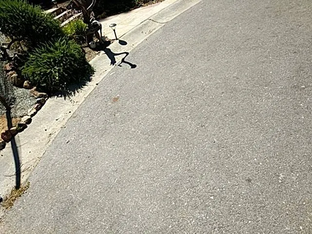 A sloping sidewalk beside a garden bed with long afternoon shadows
